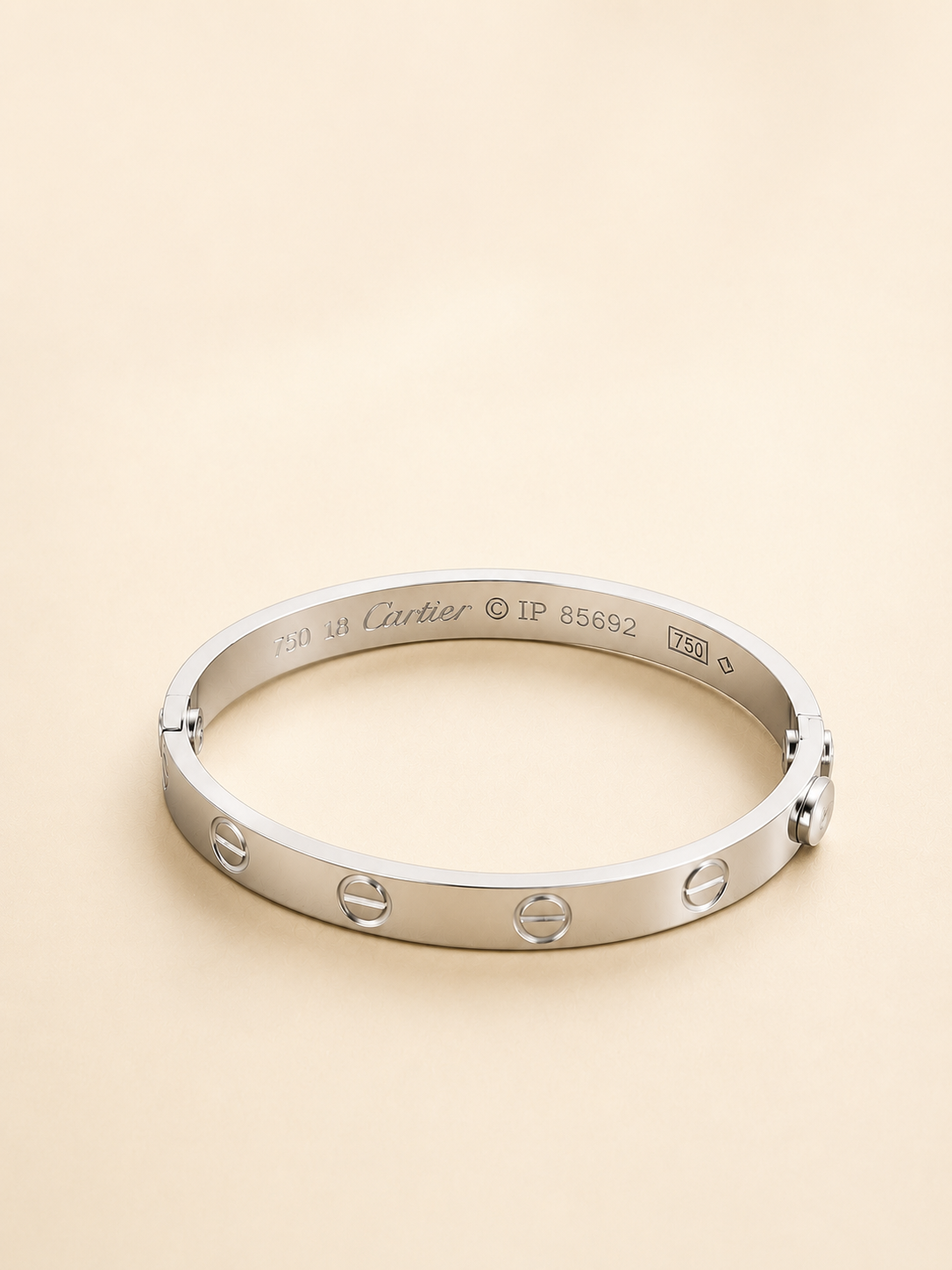 Cartier Screw Bangle Bracelet in Silver-Toned Metal