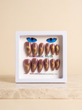 Romantic Myth Velvet Red Cat Eye Almond Press-On Nails